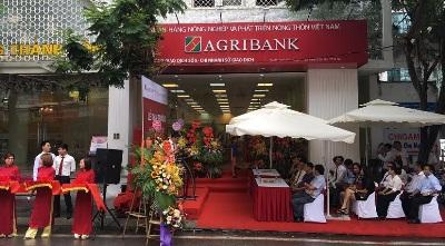 Agribank Sở Giao Dịch: Điểm liên kết tài chính hiệu quả
